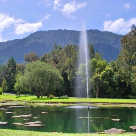 Berantas Pungli, Disbudpar Cianjur Gratiskan Tiket Masuk Kebun Raya Cibodas
