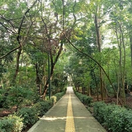Hutan Kota Srengseng: Tempat Healing Murah dan Asri di Jakarta Barat