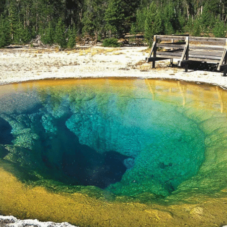 Taman Nasional Yellowstone, Surga Alam Legendaris di Amerika Serikat