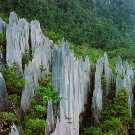 Gunung Mulu National Park: Surga Alam Liar di Sarawak yang Bikin Melongo