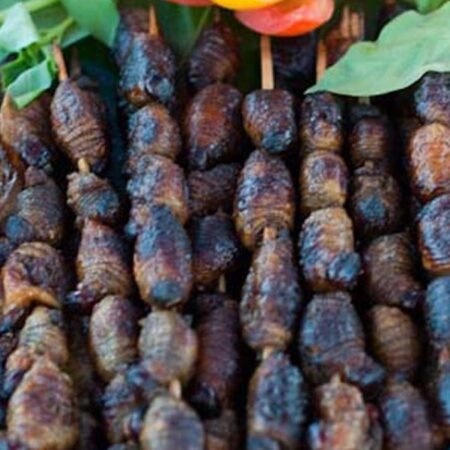 Sate Ulat Sagu, Kuliner Unik Papua yang Kaya Gizi