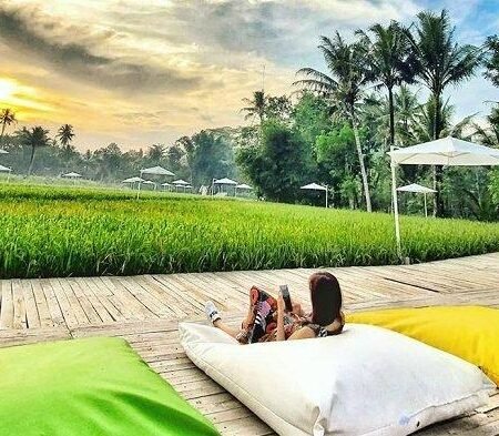 Svargabumi Borobudur: Spot Healing Kekinian dengan View Sawah dan Pegunungan