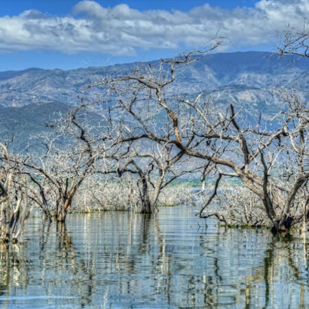 Isla Cabritos: Surga Tersembunyi di Tengah Laut Karibia