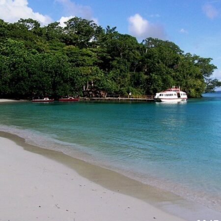 Champagne Beach: Pantai Cantik di Vanuatu dengan Fenomena Langka