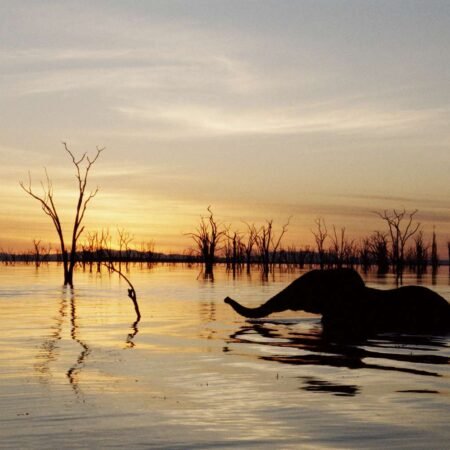 Menikmati Keindahan Danau Kariba di Zambia, Tenang dan Menenangkan