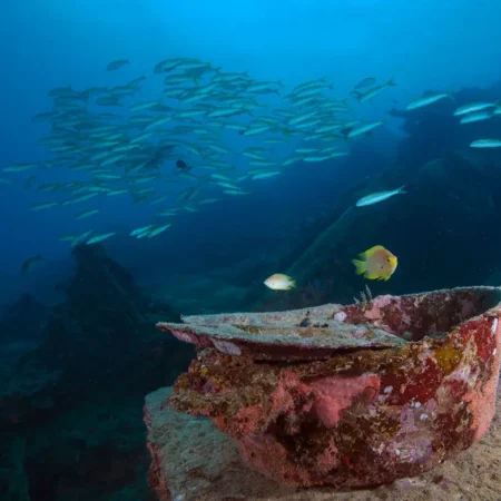 Million Dollar Point, Spot Diving Unik dengan Sejarah Perang Dunia II