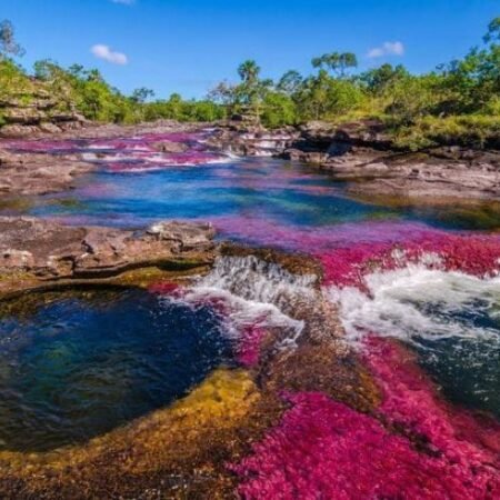 Cano Cristales, Sungai Pelangi dari Kolombia yang Bikin Mata Nggak Berkedip