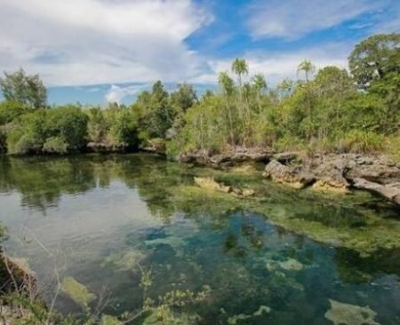 Danau Sombano, Hidden Gem di Wakatobi dengan Udang Merah yang Unik