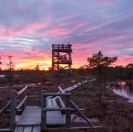 Pesona Ķemeri di Latvia, Sunrise-nya Bikin Susah Move On