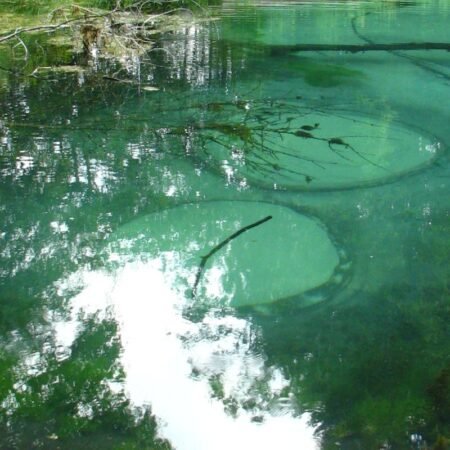 Pesona Saula Siniallikad, Mata Air Biru-Hijau Unik di Estonia