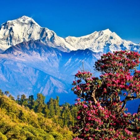 Poon Hill, Trekking Singkat dengan Panorama Himalaya yang Bikin Terpana