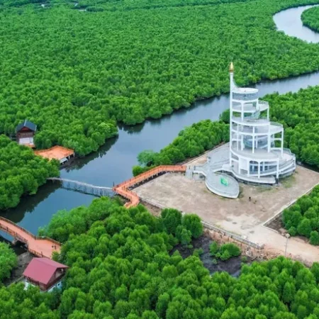 Hutan Mangrove Kuala Langsa, Wisata Alam Adem yang Cocok Buat Healing