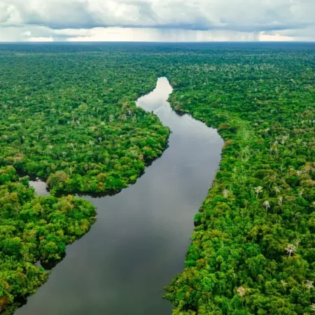 Liburan ke Hutan Amazon Brasil, Rasanya Kayak Masuk Dunia Film Petualangan
