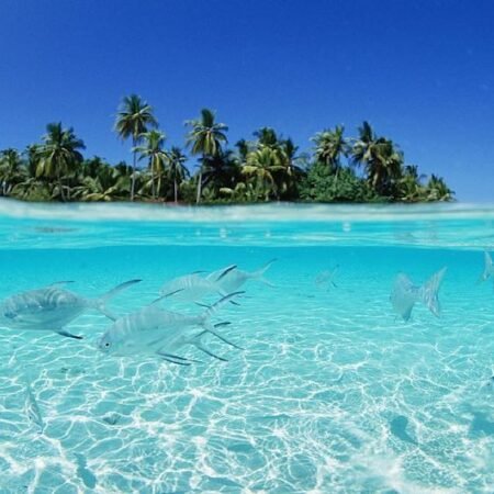 Pulau Lemukutan Jadi Surga Snorkeling Favorit di Kalbar