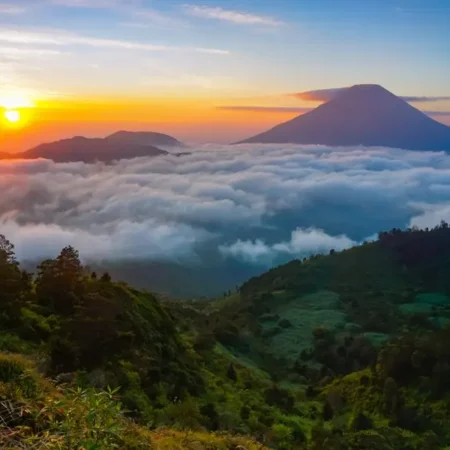 Bukit Sikunir Wonosobo, Surga Sunrise yang Bikin Susah Move On