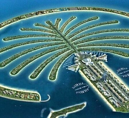 Palm Tree: Pulau Unik di Qatar yang Berbentuk Palem dan Isinya Super Mewah