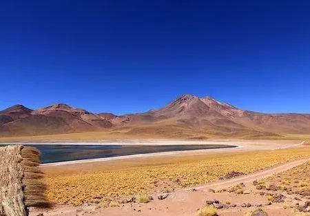 Laguna Miscanti, Danau Berbentuk Hati yang Tersembunyi di Pegunungan Chile