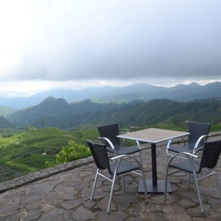 Malino Highlands, Destinasi Adem di Gowa dengan Kebun Teh yang Luas